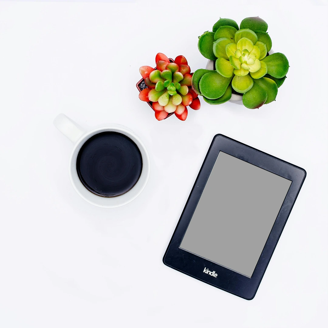 Amazon KDP dashboard showing book publishing and sales analytics