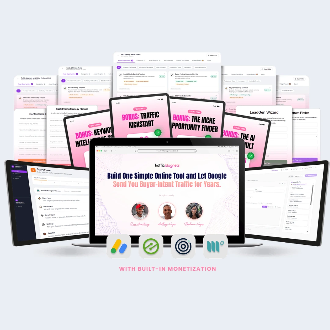 Traffic Magnets review dashboard showing traffic generation analytics